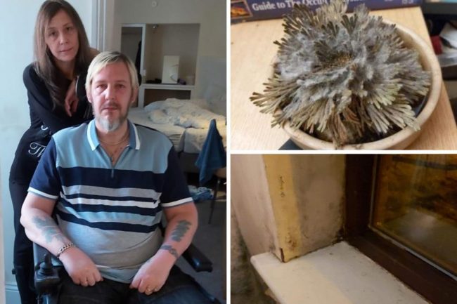 Yorkshire Housing responds over damp and mould in house