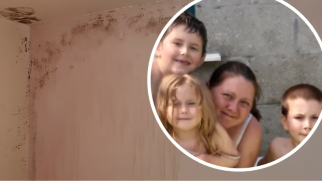 itv-news-story-cornwall