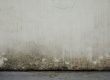 mouldy wall
